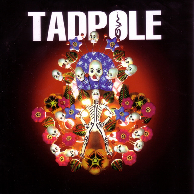 Tadpole cover art