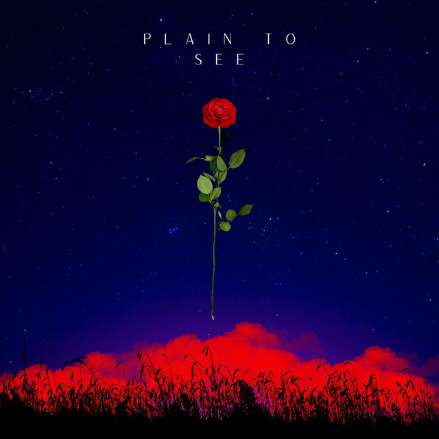 Plain To See