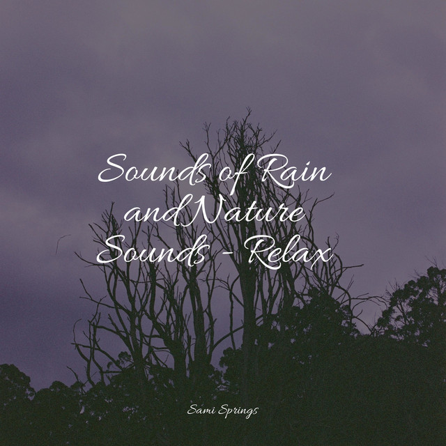 Sounds of Rain and Nature Sounds - Relax - Album by Amazing Spa Music ...