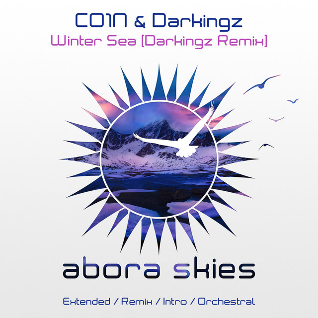 Winter Sea - Darkingz Extended Mix album art