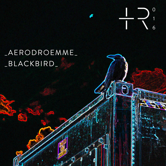 Blackbird cover art
