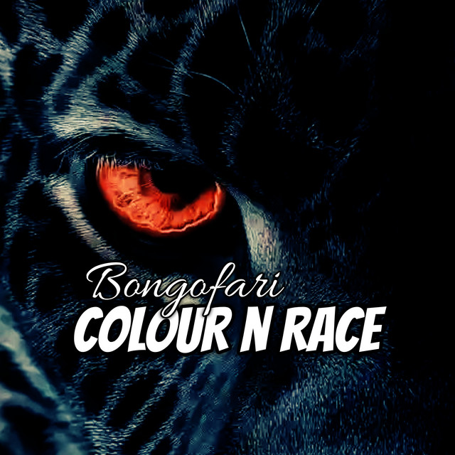 Colour N Race cover art