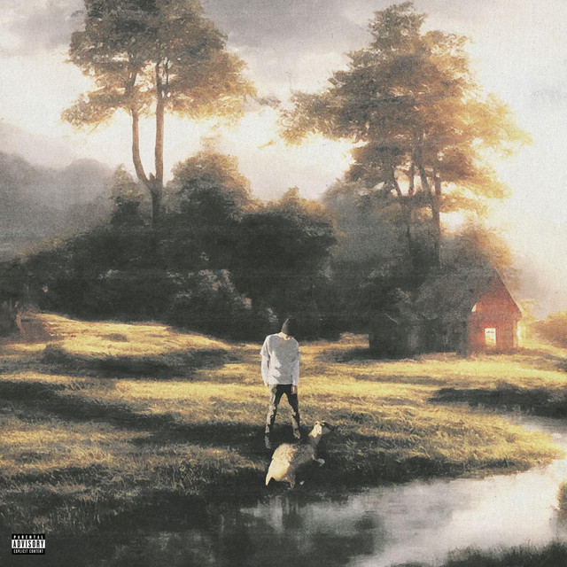 Life cover art