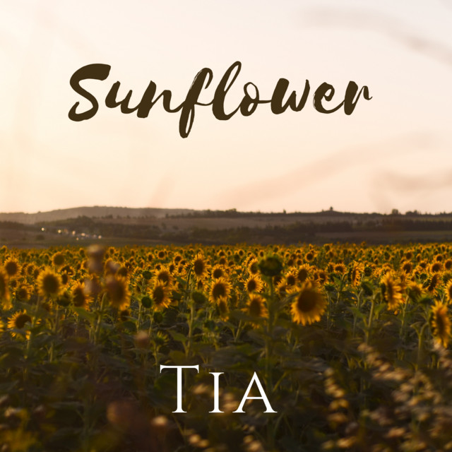 Sunflower cover art