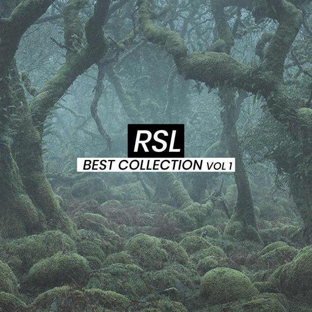 Best Collection, Vol. 1 cover art