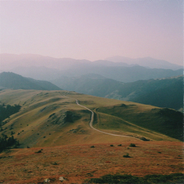 saunter cover art