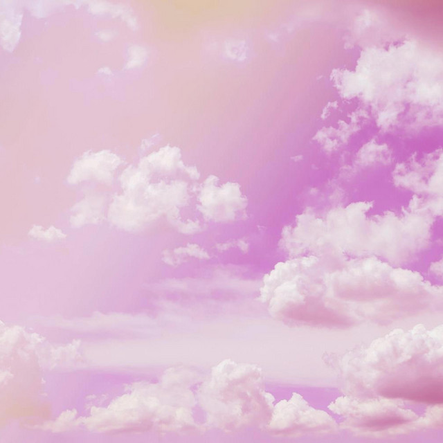 Softly Disappearing cover art