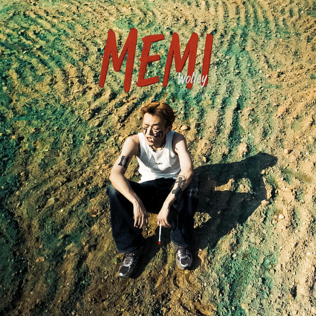 Album cover for MEMI by Wolley