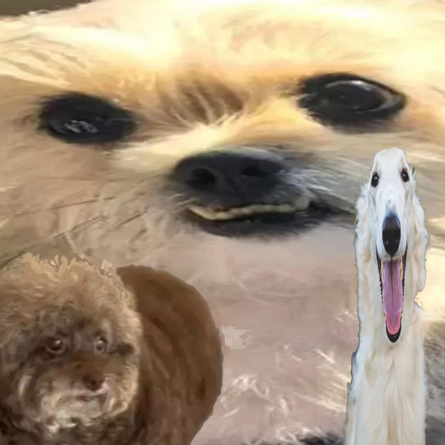 EU VO VOLTA PRA CACHORRADA! cover art