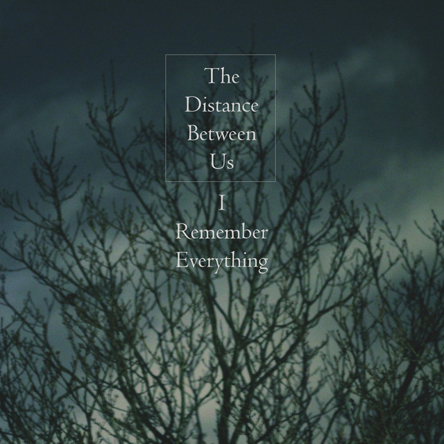 I Remember Everything cover