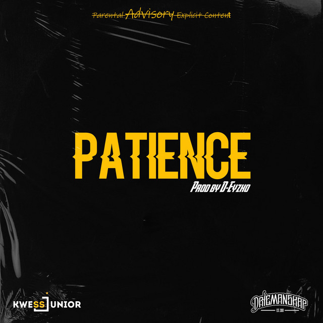Patience - Single by Kwess Junior | Spotify