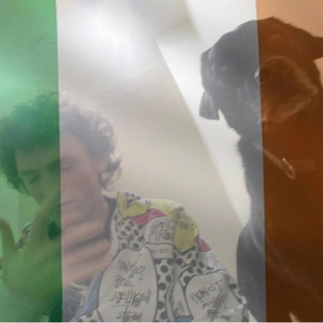 No Irish goodybe cover