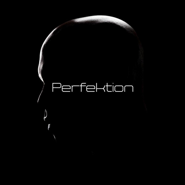 Perfektion cover