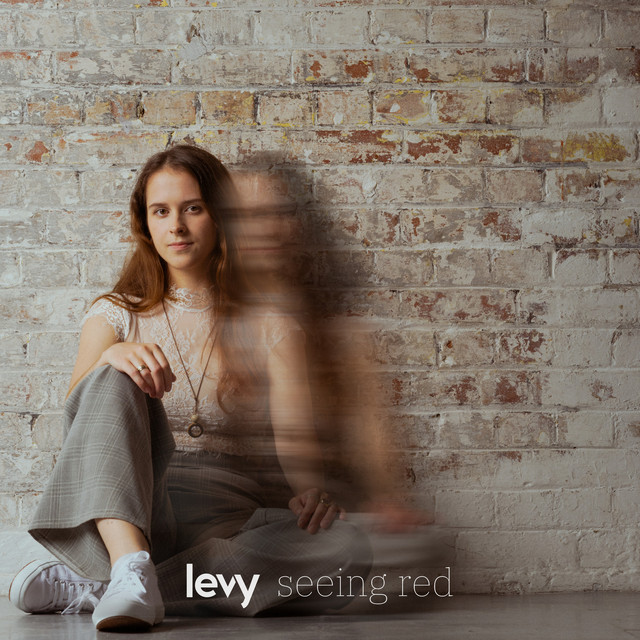 Seeing Red cover art