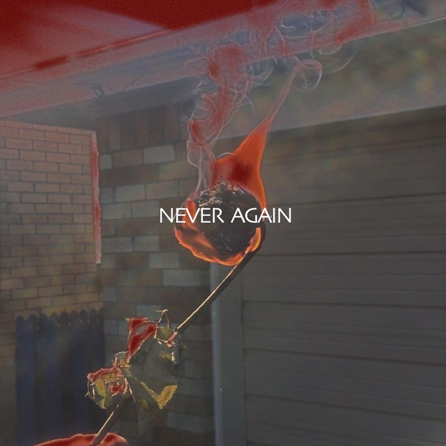 Never Again cover art