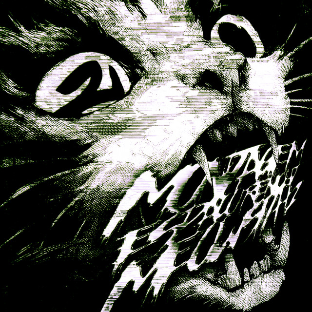 Обкладинка SoulFusi — Montagem Espaco Renicht 2 Meowsith