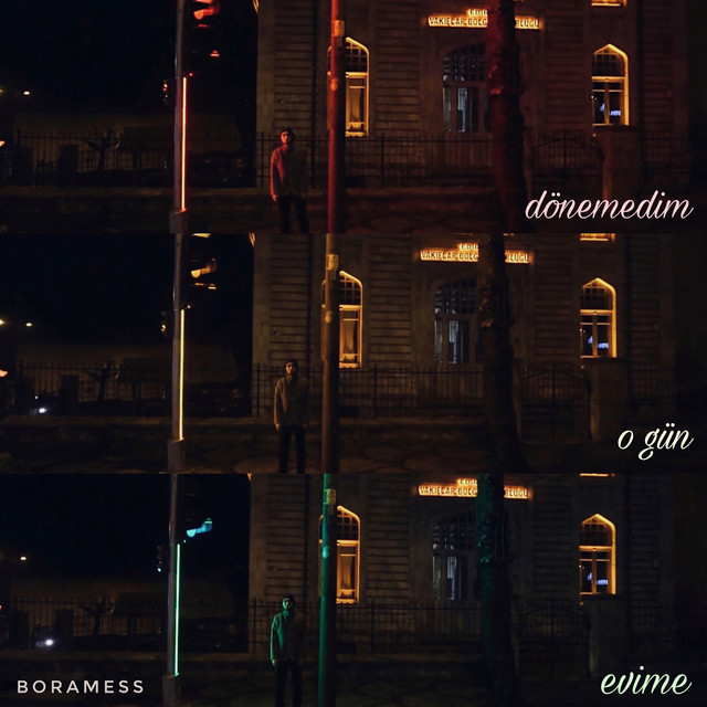 dönemedim o gün evime cover art