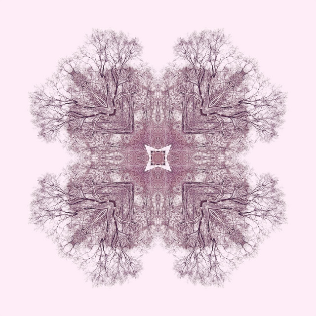 Pause... cover