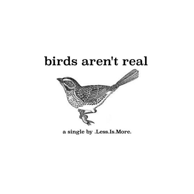 Birds Aren't Real (single)