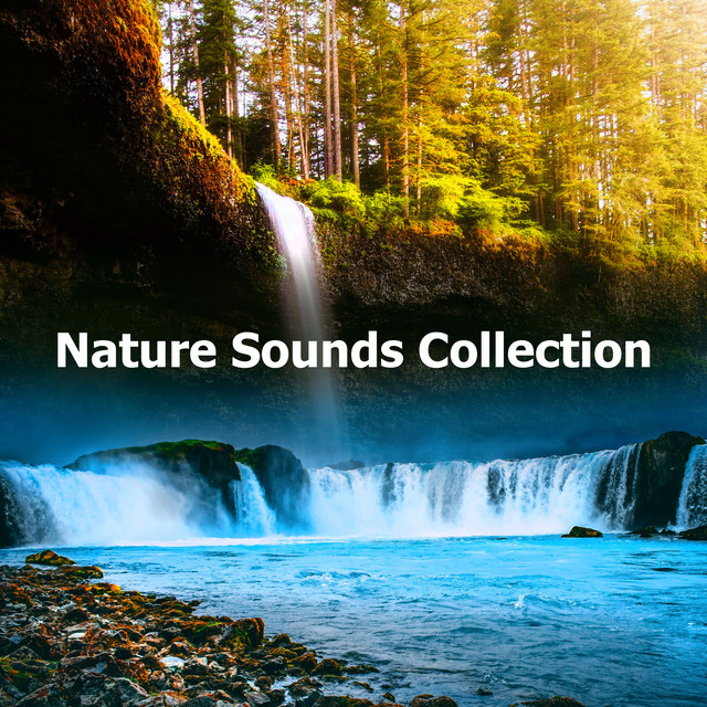 Nature Sounds Collection - Album by Nature Sound Collection | Spotify