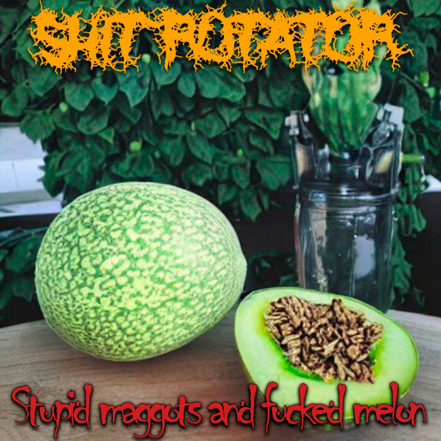 Обкладинка Shit Rotator — Stupid Maggots and Fucked Melon