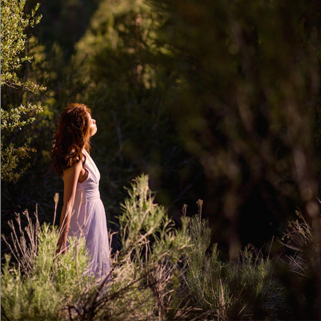 The Stream of the Spring cover