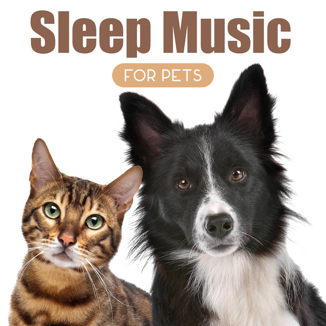 The Slow Fade Tranquil Pets cover art