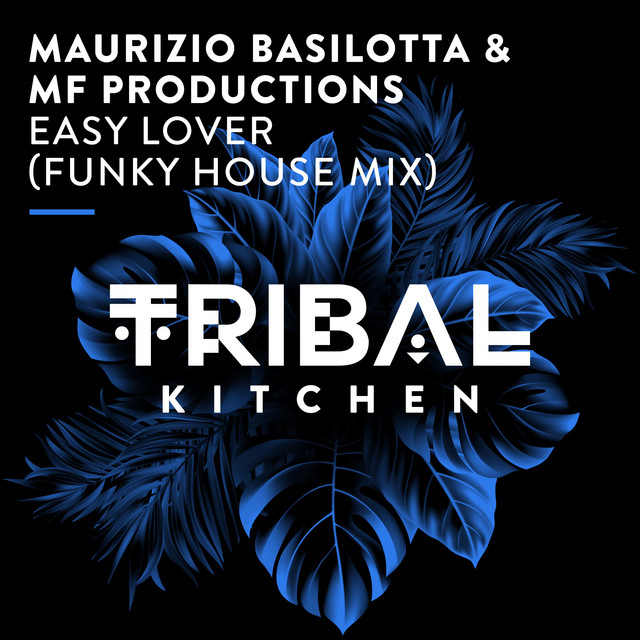 Easy Lover - Funky House Extended Mix album art