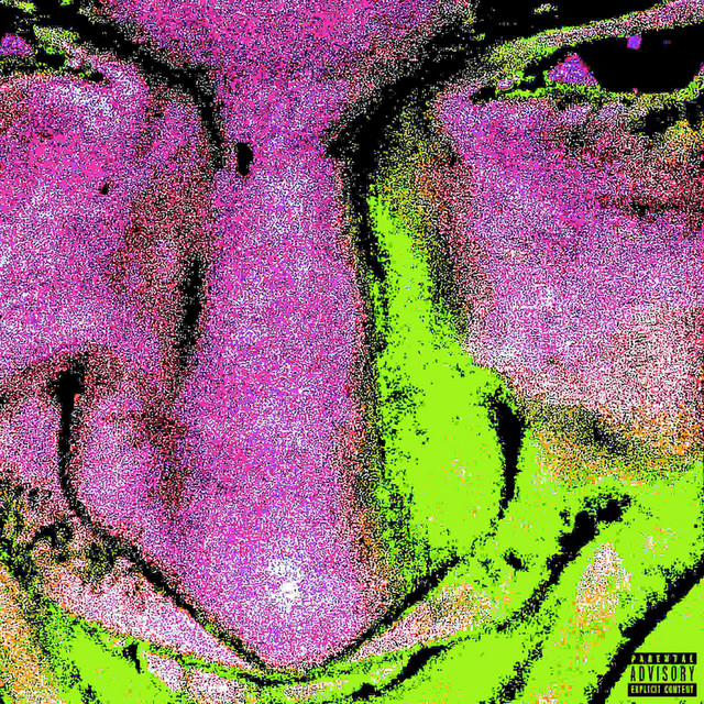 ATTITUDE ERA cover art