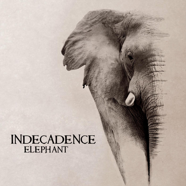 Elephant cover