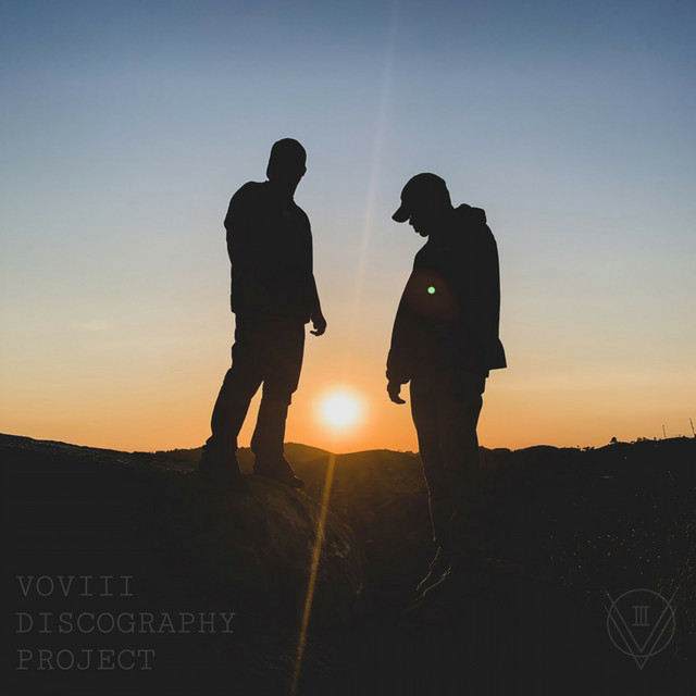 VOVIII Discography Project cover art
