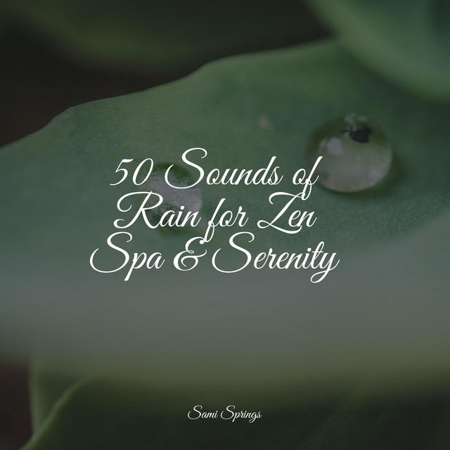50 Sounds of Rain for Zen Spa & Serenity - Album by It's Raining | Spotify