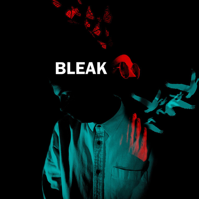 BLEAK cover art