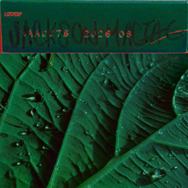 Jackson Maciag