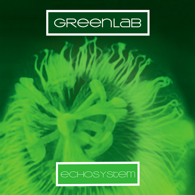 Echosystem cover art