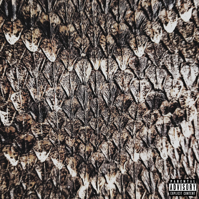 SNAKESKIN album image