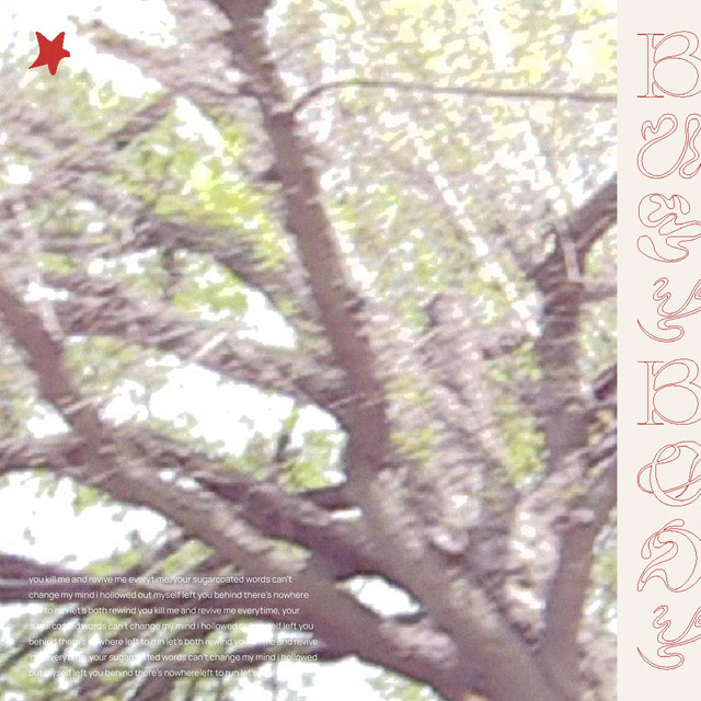 BUSYBODY cover art