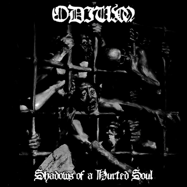 Shadows of a Hurted Soul cover art