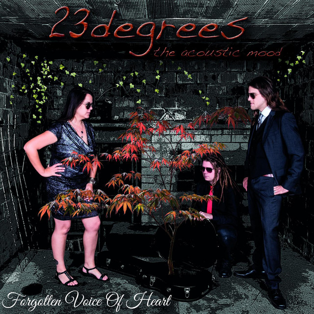 Forgotten Voice of Heart cover art