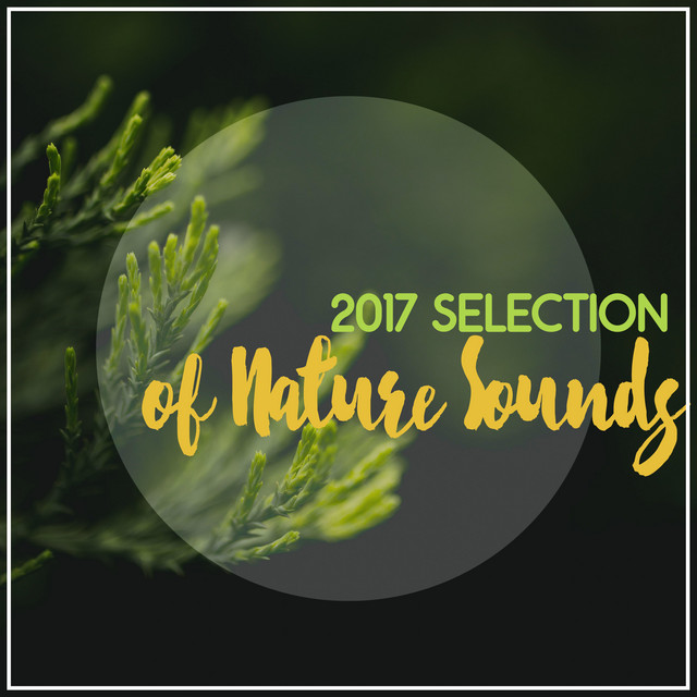 2017 Selection of Nature Sounds - Album by Sleep Sounds of Nature | Spotify