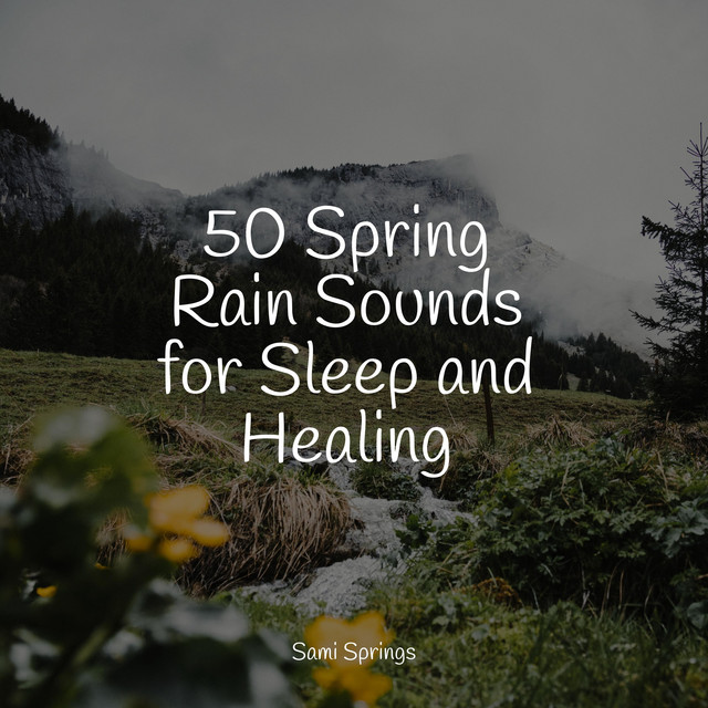 50 Spring Rain Sounds for Sleep and Healing - Album by Ambient Music ...