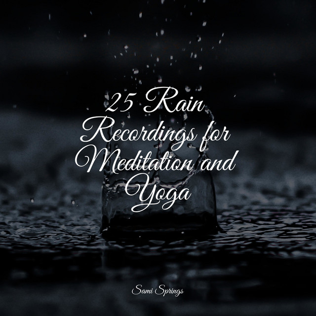 25 Rain Recordings for Meditation and Yoga cover art