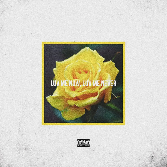 Luv Me Now, Luv Me Never cover art
