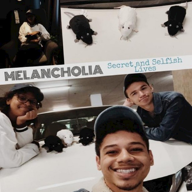 Secret and Selfish Lives cover art