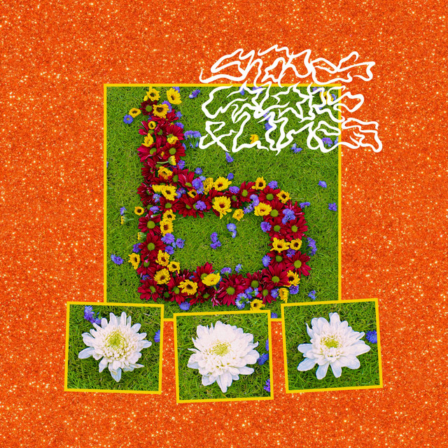 Shapes, Colors, and Lines cover art