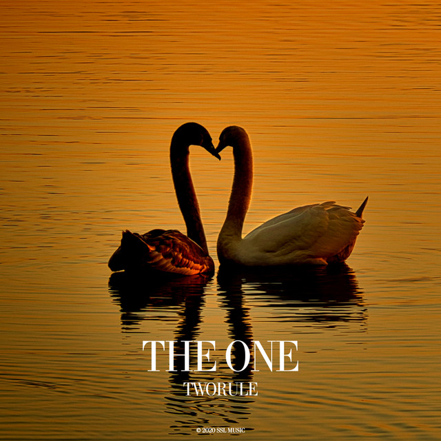 TwoRule – The One