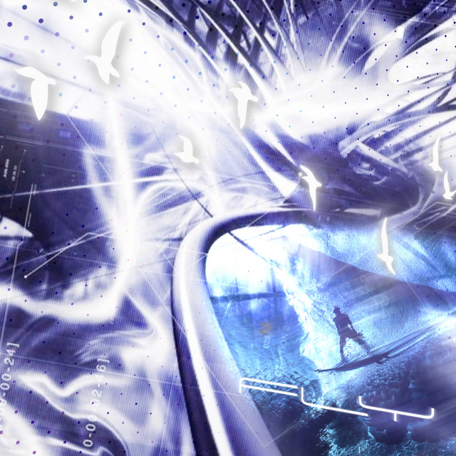fly cover art