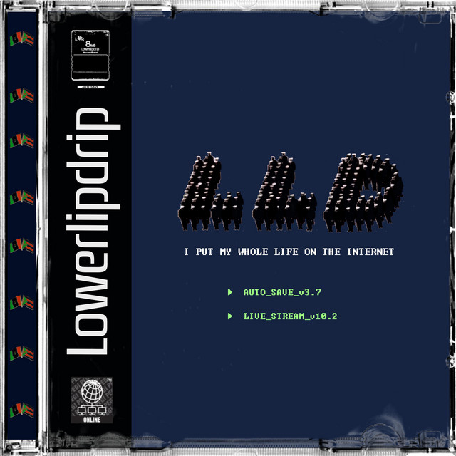 I Put My Whole Life on the Internet cover art