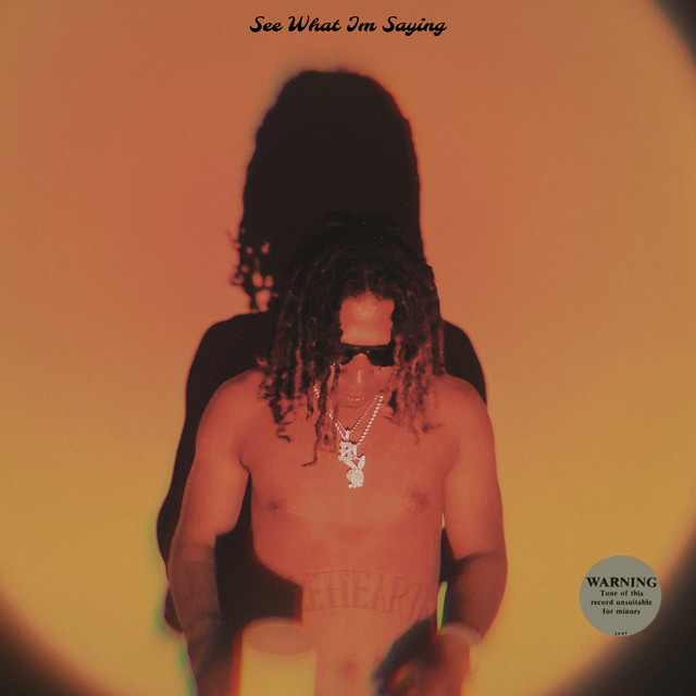 See What I'm Saying cover art