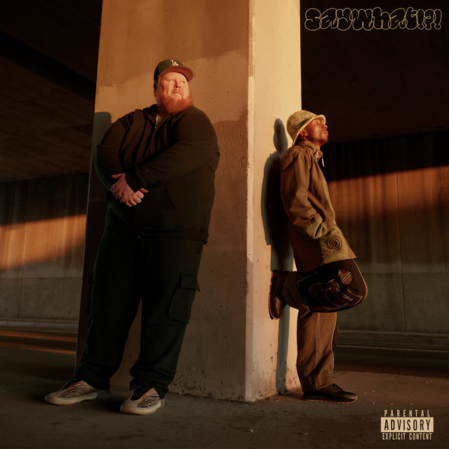 Saywhat!?! cover art